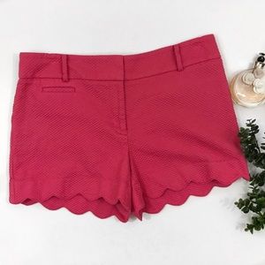 LOFT outlet• pink scalloped• 4 in shorts